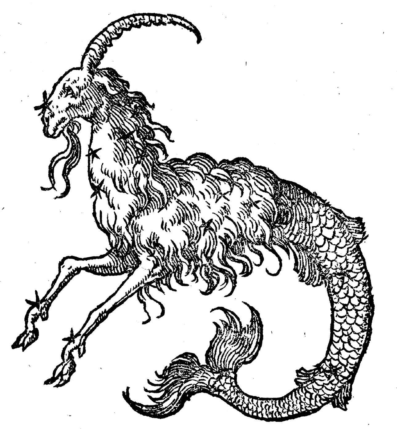 The Capricorn, Alberto Mugnai’s personal symbol